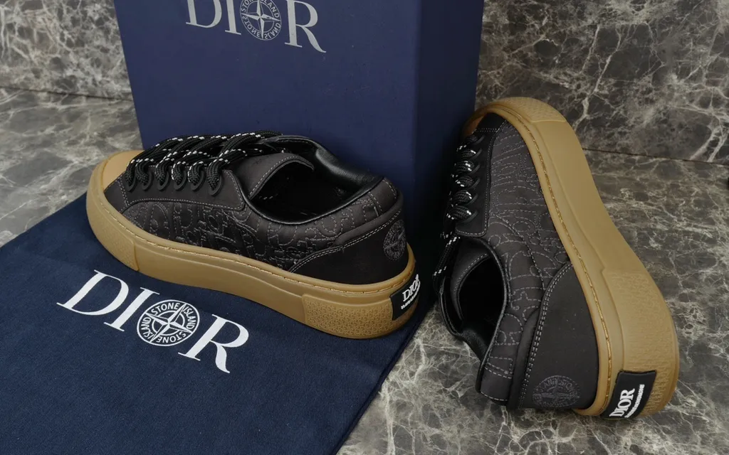 Dior Shoe 